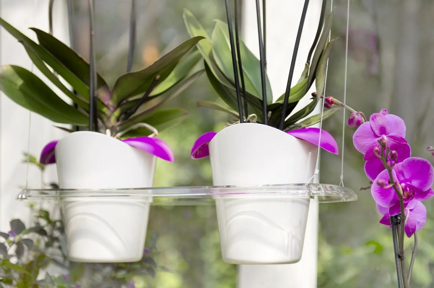 Горшок-кашпо для орхидей ILO. Вазон для орхидей. Фитильный полив орхидей.