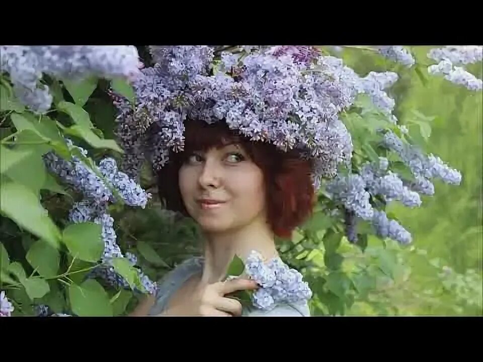 Сад сирени колесникова в москве. Мелихово музей-усадьба сирень. Сирень садовая. Сирень алан гранд. Расцвела сирень в саду слушать.