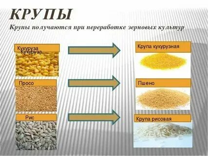Из какого зерна изготавливается. Из какого зерна изготавливается