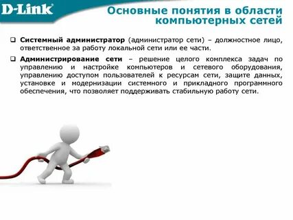 Сеть должность