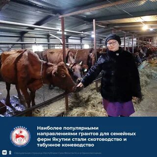 Ферме стал