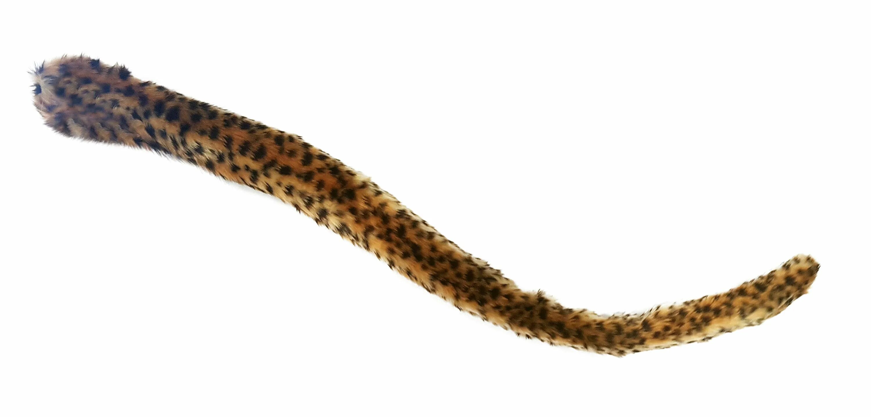 Tail is long. Аниматронный хвост от компании tail. хвост леопарда. леопардовый хвост. тигриный хвост.