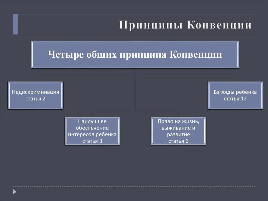 Принцыпы "конвенции о правах ребенка ". Принципы конвенции. Основные принципы конвенции о правах ребенка. Принципы конвенции ООН О правах ребенка. Конвенция оон принципы