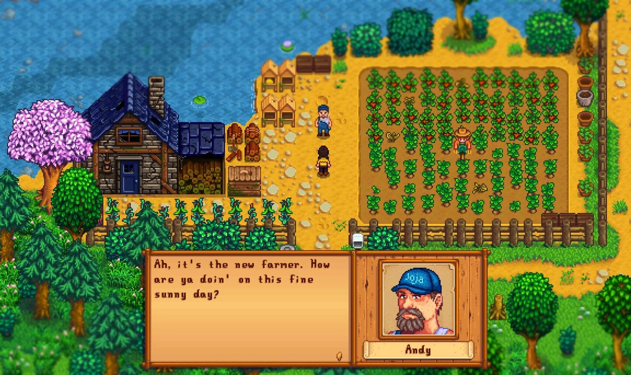 Stardew Valley expanded карта. Узелок Дружба Stardew Valley. Stardew Valley пропавший узелок. Сердцевидка Stardew Valley.