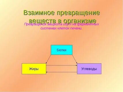 Какие превращения могут происходить в организме человека
