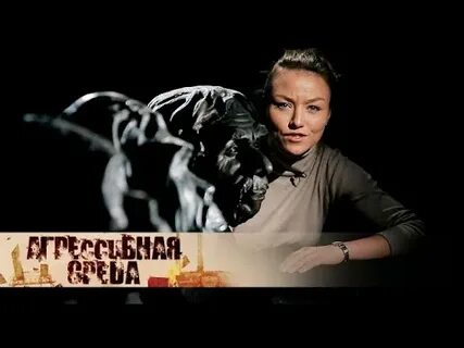 Агрессивная среда