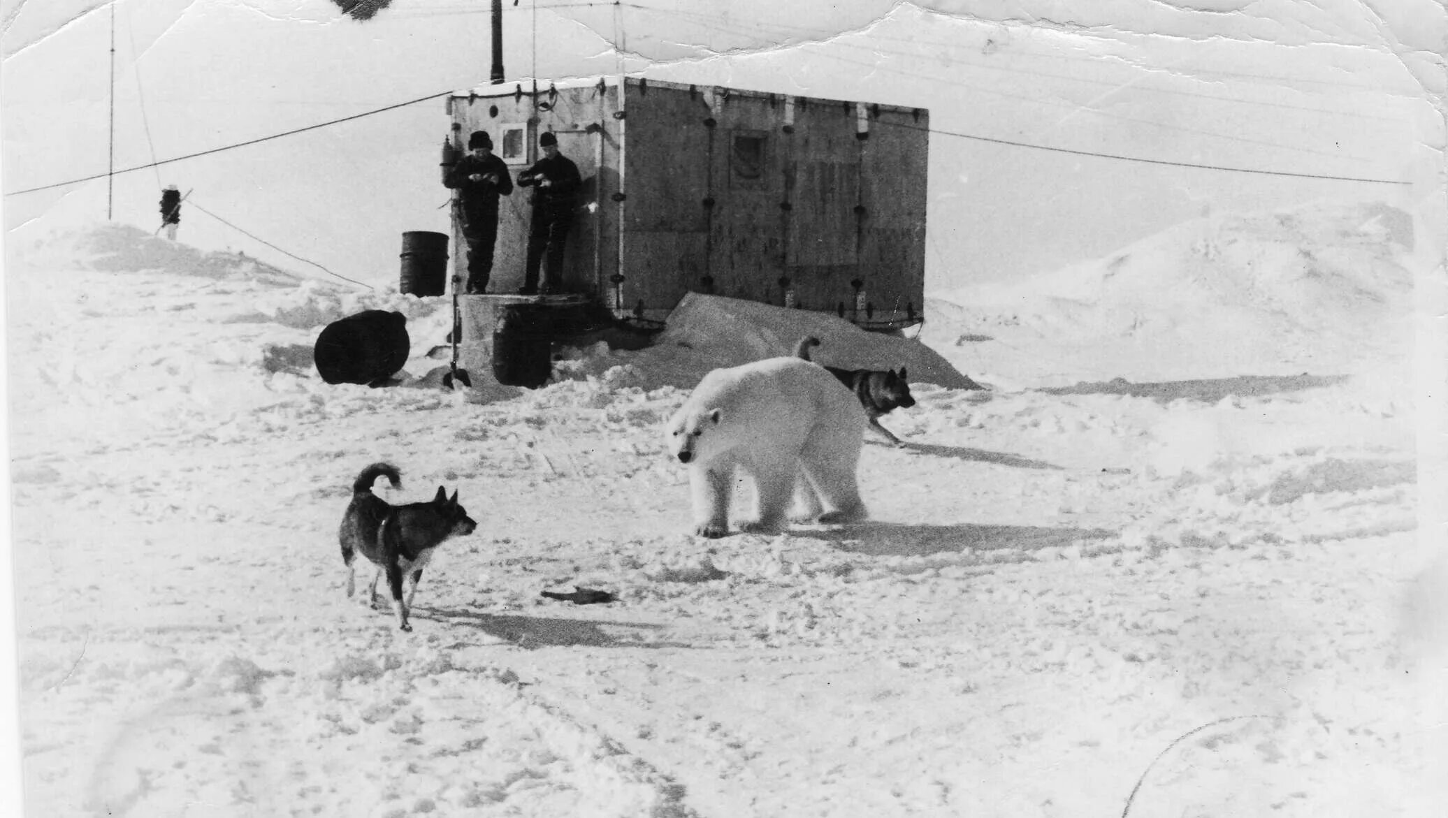 North pole 1. Дрейфующая Полярная станция Северный полюс 1. Дрейфующая станция Северный полюс Папанин. Полярная Экспедиция Северный полюс. Первая Полярная Экспедиция Северный полюс.