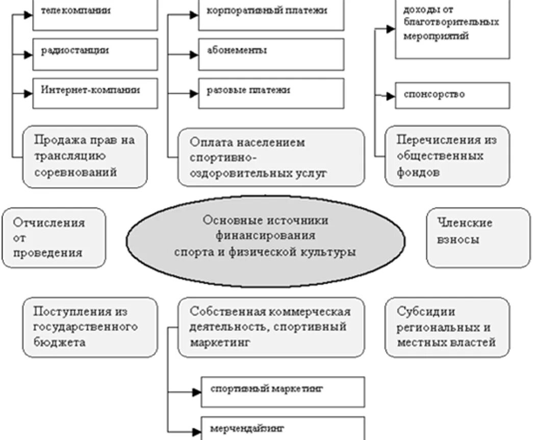 Анализ спортивной организации