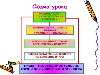 Заполненные схемы урока