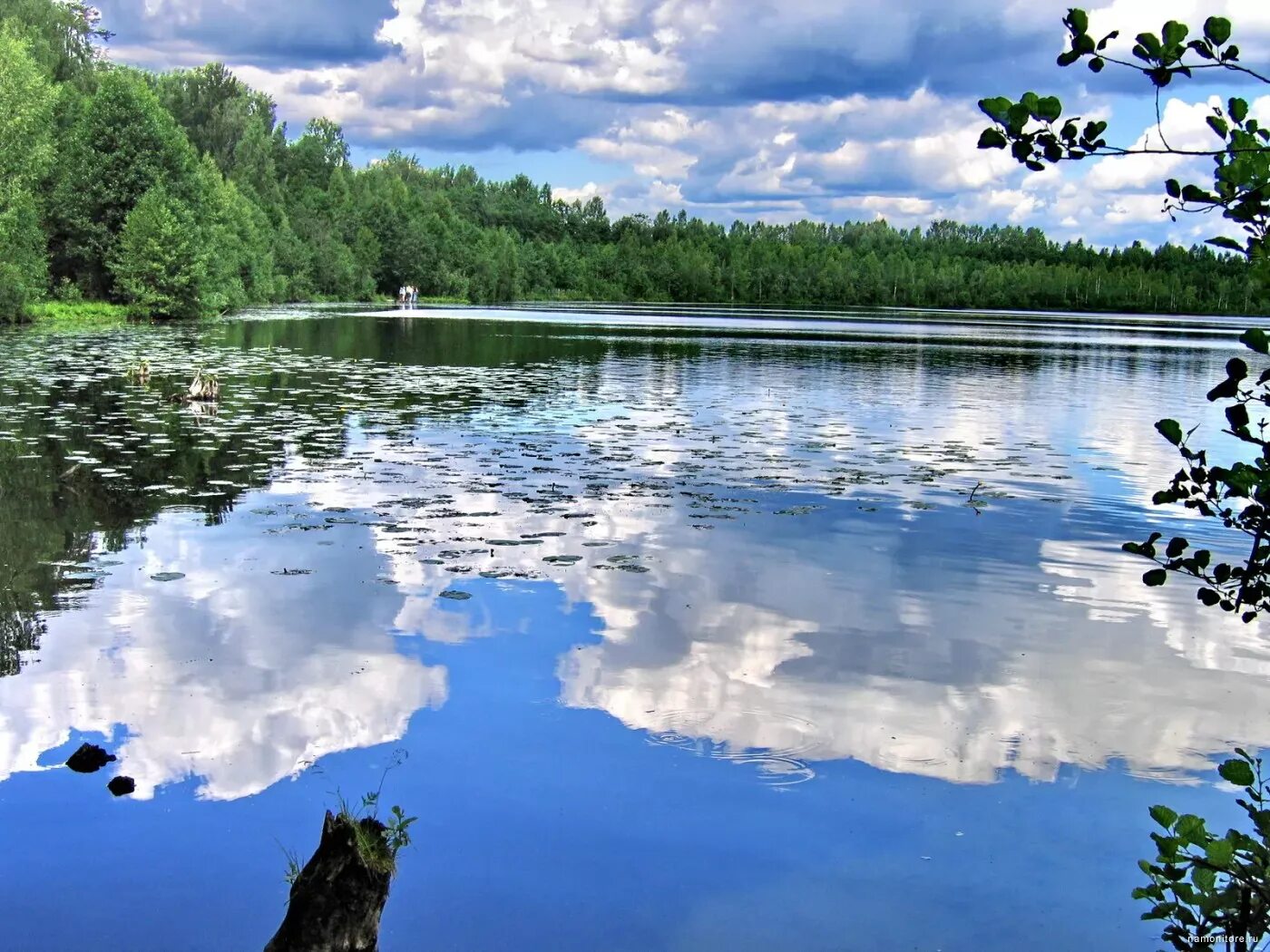 Водную гладь озера. Озеро Светлояр голубая вода. Озеро Светлояр Нижегородская область Воскресенский район. Озера Светлояр кувшинки Нижегородская область. Голубая гладь озера.