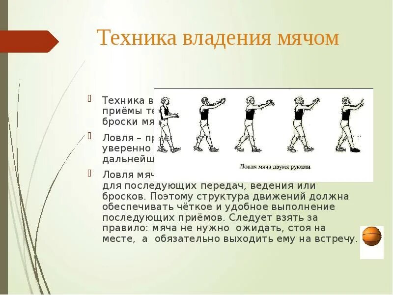 Баскетбол ведение передачи броски. Техника ведения и приема передачи мяча в баскетболе. Описание техники ведения мяча в баскетболе. Фазы ведения мяча в баскетболе. Бросок мяча в кольцо снизу 2 класс.