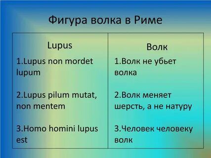 Non перевод