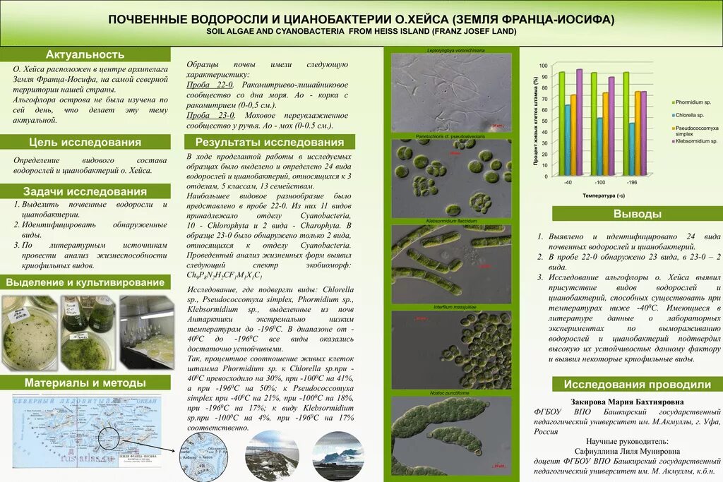 Цианобактерии встречаются в составе лишайников. Почвенные водоросли. Почвенные зелёные водоросли. Почвенные водоросли представители. Почвенные водоросли в почве.