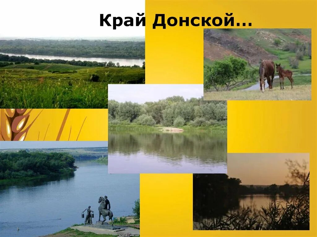 Баннер донской край. Родной донской край. Ростовская область презентация. Экономика донского края. Мой родной край ростовская.