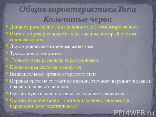 Кольчатые черви класс многощетинковые таблица фото - PwCalc.ru
