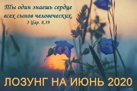 Июнь цитаты
