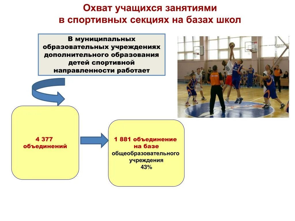 Назначение спортивной школы. Организация работы спортивных секций. Направления спортивных секций в школе. Участие в спортивной деятельности. Задача спортивны секции.