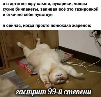 Кошка без сил