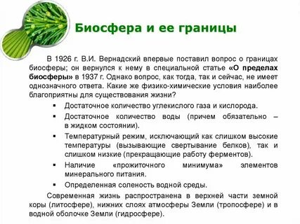 Роль мирового океана в развитии биосферы земли