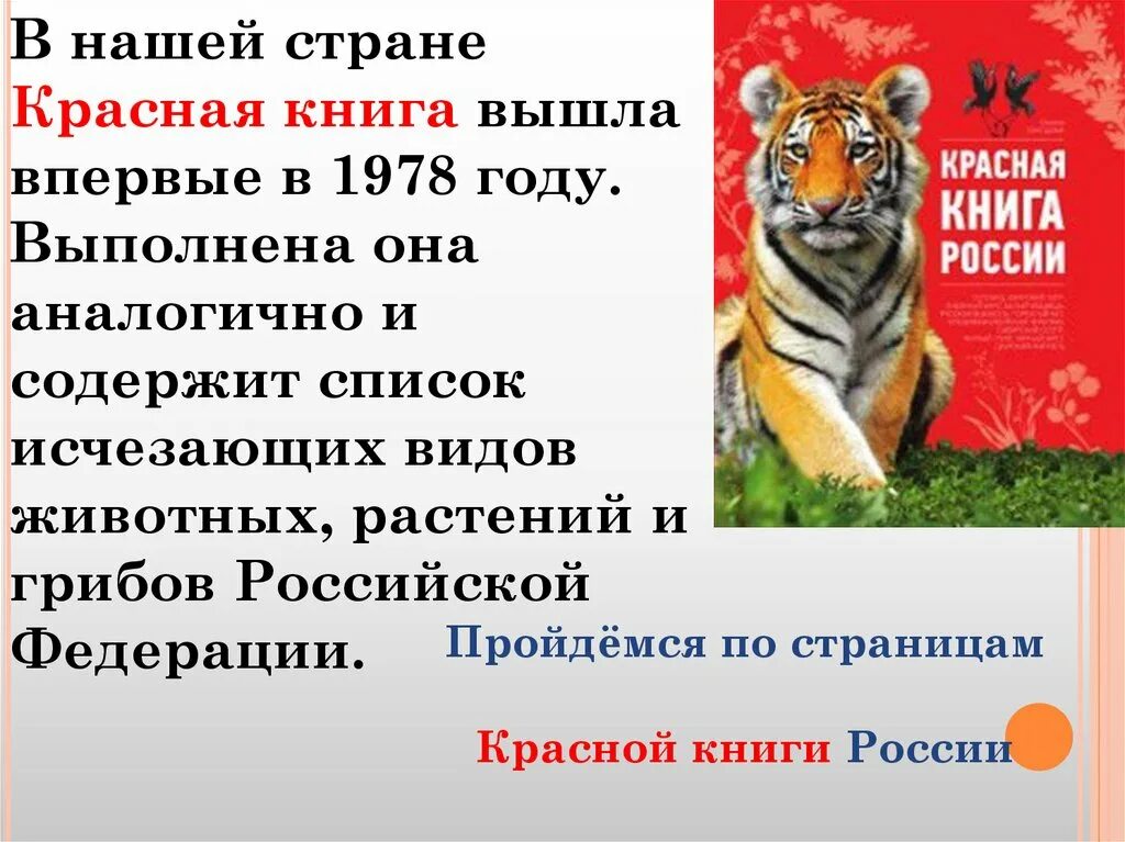 Красная книга России. Животные. Информация о красной книге. Сообщение о красной книге. Доклад о красной книге.