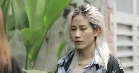Chi gia