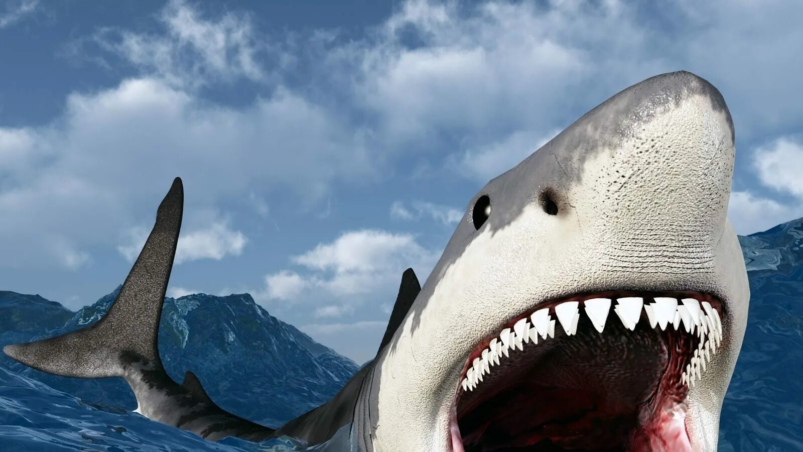 Селахофобия боязнь акул. Удивленная акула. Морские хищники фото. Почему акулы боятся пузырей