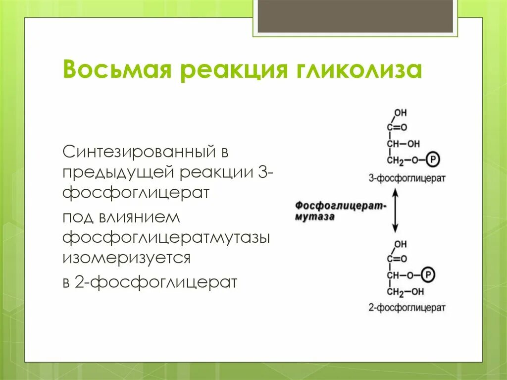 8 Реакция гликолиза. Восьмая реакция аэробного гликолиза. Аэробный гликолиз реакции. Этапы гликолиза биохимия.