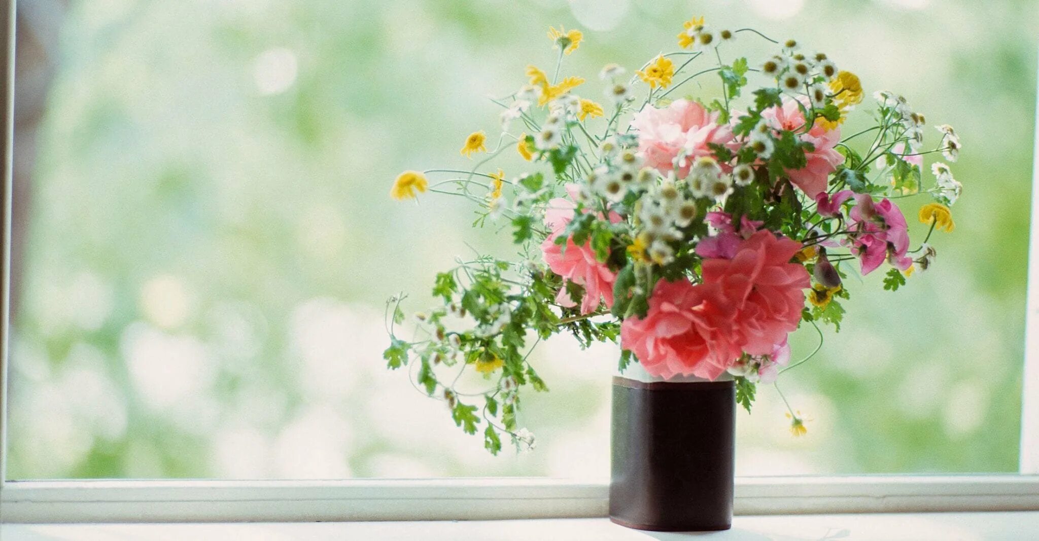 Подарить цветы в окно. Цветы на подоконнике. Окно в цветах. Подоконник с цветами. Весенние цветы на окне.
