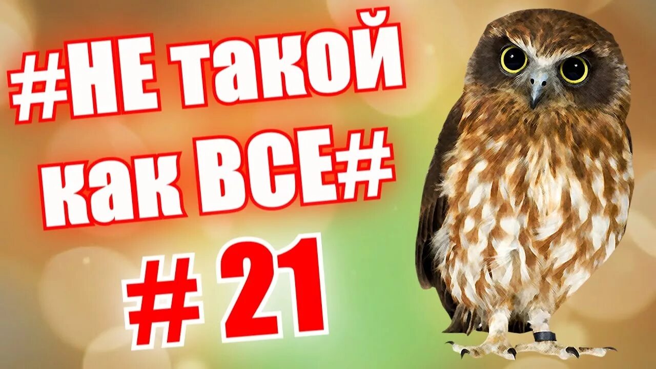 Не такой как все видео. Не такой как все видео