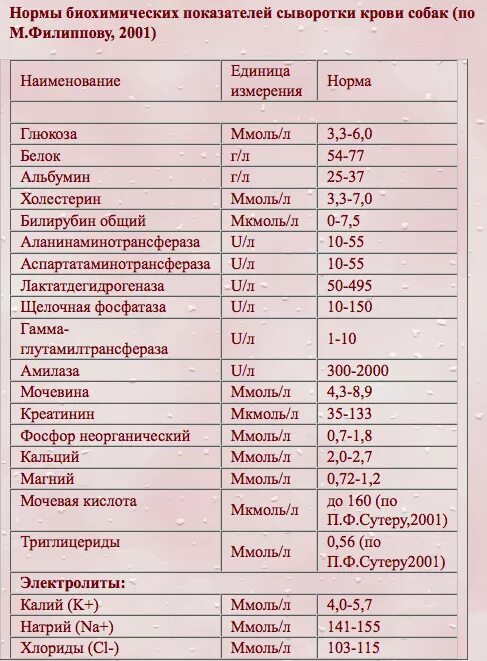 Биохимия крови собаки норма. Биохимическое исследование крови собак норма. Показатели крови у собак норма. Биохимические показатели крови кошек. Норма сахара в крови у собак