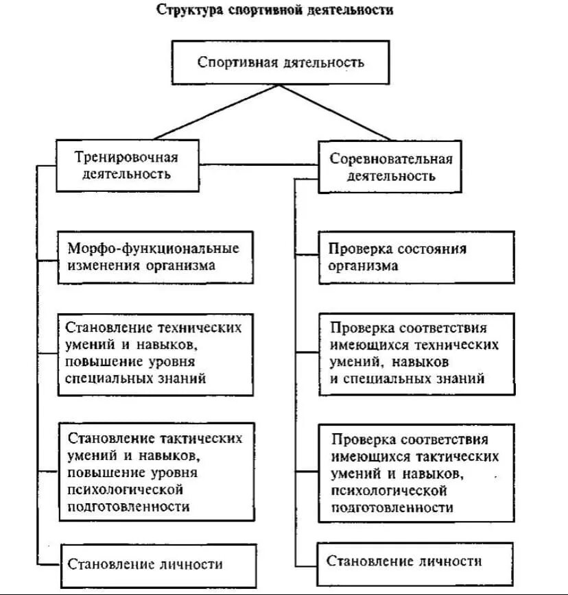 Особенности тренировочной деятельности. Структура соревновательной деятельности. Структура соревновательной деятельности спортсмена схема. Психологические особенности тренировочной деятельности. 1. Психологическая структура спортивной деятельности.