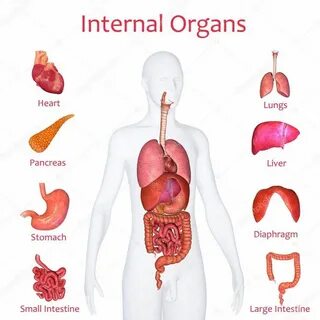 Internal name