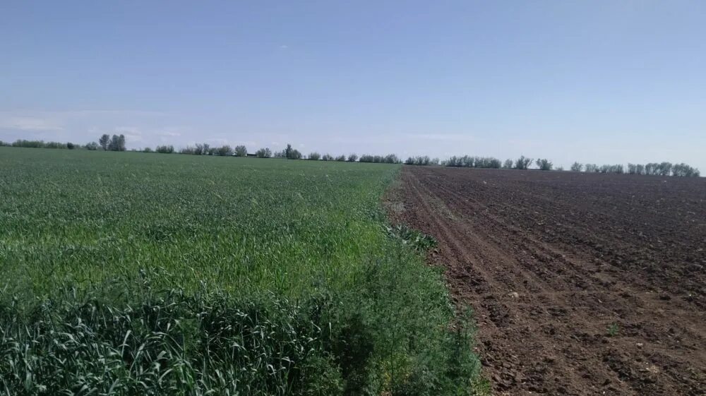 Обследование земель сельскохозяйственного назначения