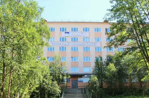 Мурманск арктический университет сайт