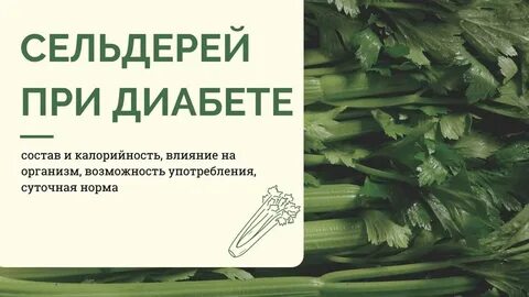 Сельдерей при сахарном диабете
