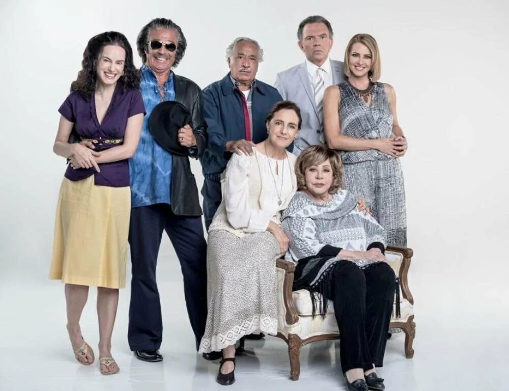 Моя большая семья. Моя семейка сериал. Семья сериал 2016. Комедийный сериал моя семья. Моя семья сериал кадры.
