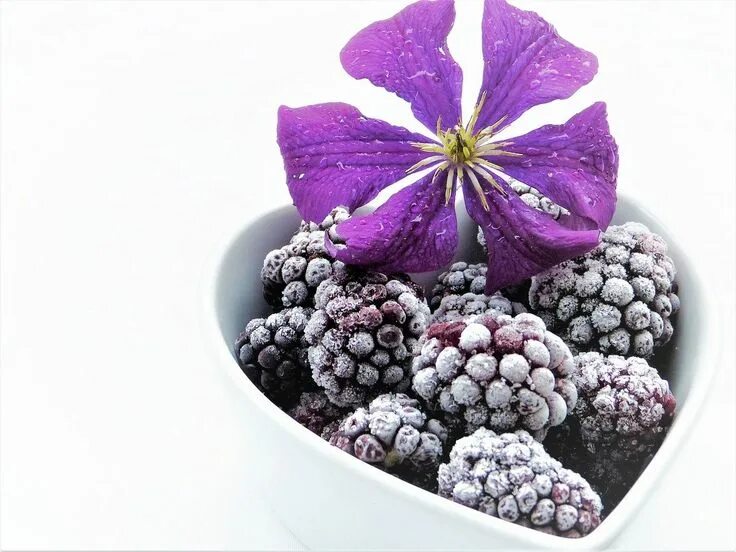 Purple berry