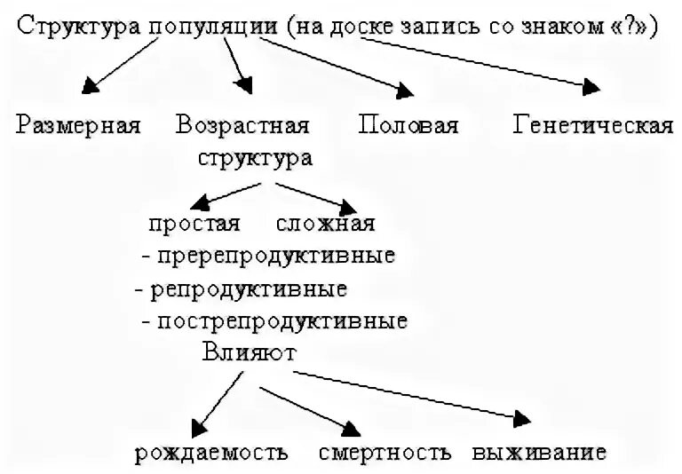 Социальная структура популяции. Структура популяции. Популяционная структура. Половая структура популяции. Структура популяции биология 9.