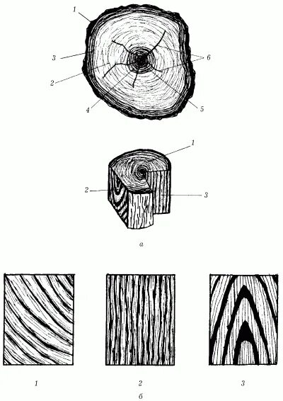 Сделайте кольцевой надрез на древесной ветки. Поперечный тангенциальный радиальный. Тангенциальный и радиальный разрез древесины. Тангентальный разрез древесины. Продольный, поперечный, торцевой спил древесины.