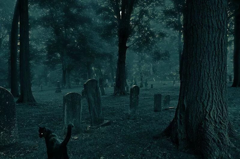 Pet cemetery. Кладбище в лесу.