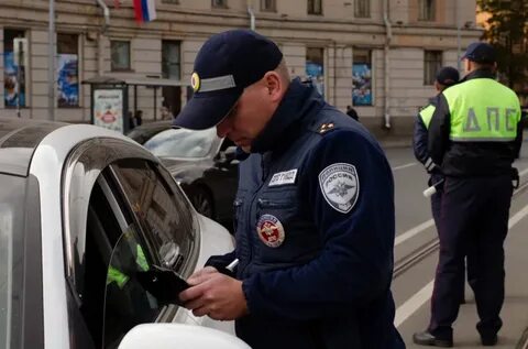 Облава 9 букв