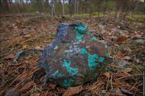 Жило медное