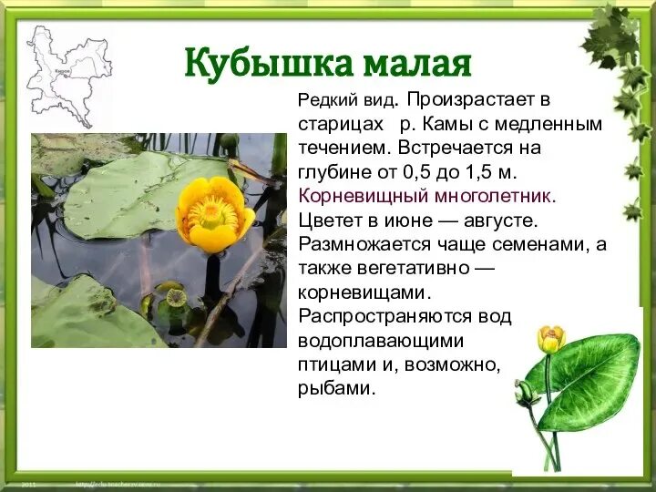 Как найти кубышку