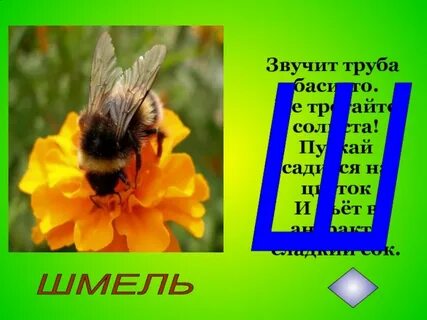Край звучать