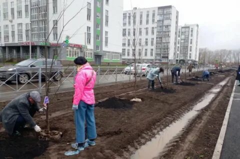 Уфа посадка