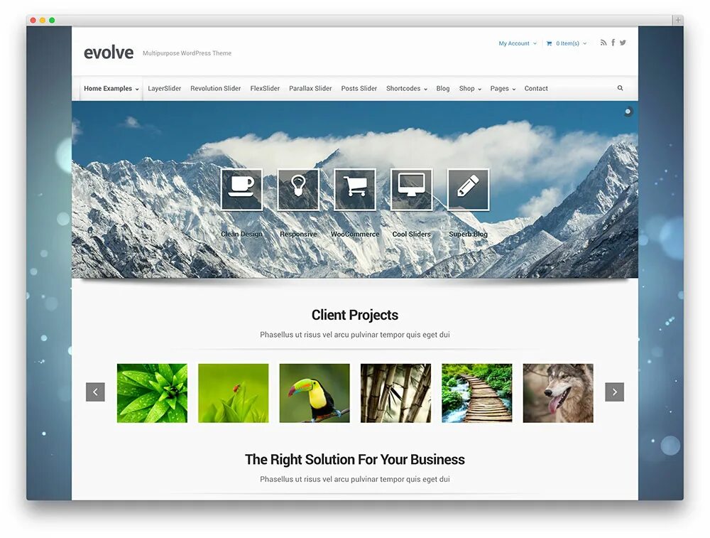 Wordpress themes downloads. Слайдер вордпресс. wordpress шаблоны. темы вордпресс. шаблон сайта wordpress.
