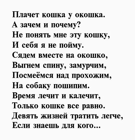 Стих про кошку. Стихи о кошке и человеке. Стишки про кошек. Стишки про кошек. Стихотворение я кошка.