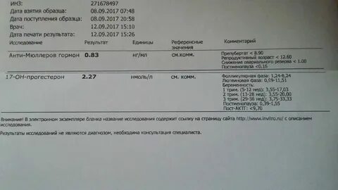 Анализ амг форум