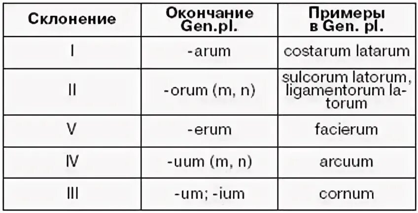 Склонения существительных в латинском языке таблица РАЗДЕЛ I. ОСНОВНЫЕ ПРАВИЛА ЛАТИНСКОГО ЯЗЫКА (В МОДЕЛЯХ И СХЕМАХ)