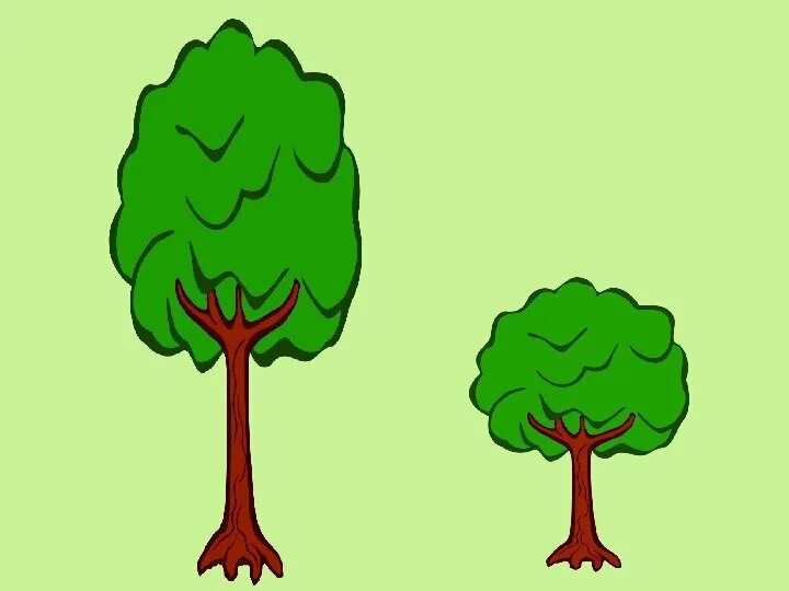Игра деревья картинки. Дерево рисунок. Высокое и низкое дерево. Дерево для детей. Деревья большие и маленькие.
